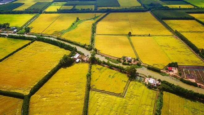 Đất phi nông nghiệp là gì? Lưu ý quan trọng khi mua đất